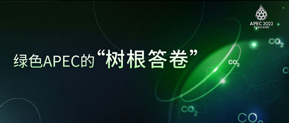 绿色领航，中国担当！天美娱乐亮相APEC峰会